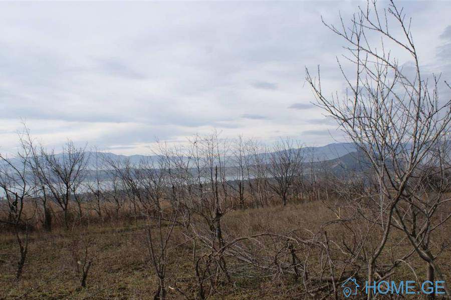 იყიდება მიწის ნაკვეთი, თბილისის ზღვა