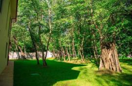 Daily Rent, 4 Room, Mtskheta , Tskhvarichamia