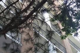 Apartment for sale, 2 Room, New building, Tbilisi, Gldani