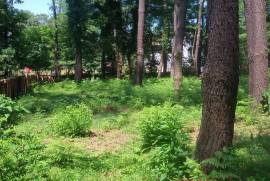 იყიდება მიწის ნაკვეთი, სასოფლო - სამეურნეო, შეკვეთილი