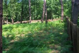 იყიდება მიწის ნაკვეთი, სასოფლო - სამეურნეო, შეკვეთილი