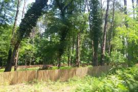 იყიდება მიწის ნაკვეთი, სასოფლო - სამეურნეო, შეკვეთილი