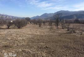 Land For Sale, Dzegvi