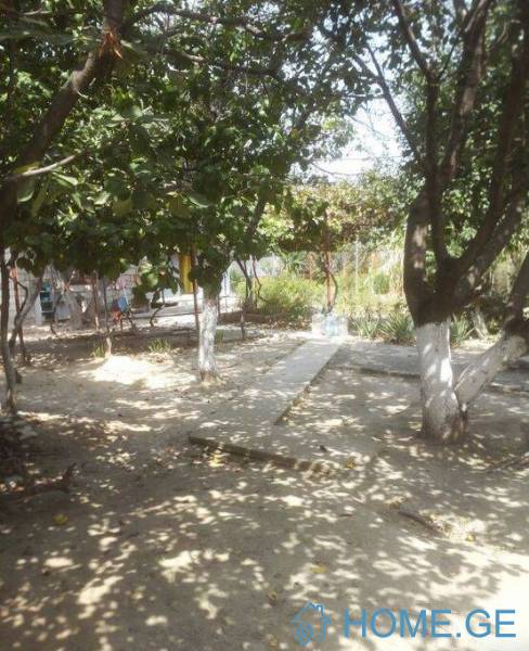 Land For Sale, Avchala