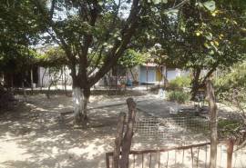 Land For Sale, Avchala