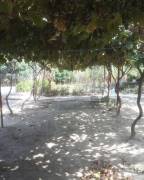 Land For Sale, Avchala