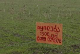 Продается Земля, Сельскохозяйственные, Дзвели Канда