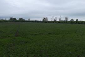 Продается Земля, Сельскохозяйственные, Дзвели Канда