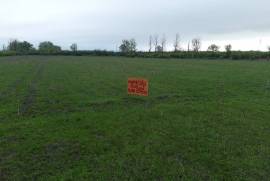 Продается Земля, Сельскохозяйственные, Дзвели Канда