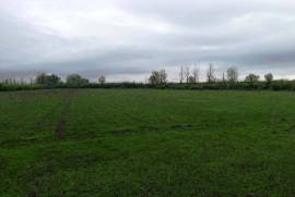 Land For Sale, Agricultural, Dzveli Kanda