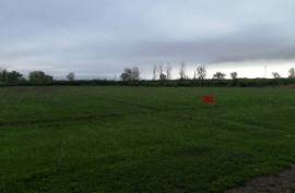 Продается Земля, Сельскохозяйственные, Дзвели Канда