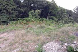 Land For Sale, Tskneti