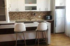 ქირავდება ბინა, 2 ოთახიანი, ახალი აშენებული, თბილისი, ბაგები