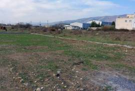 Land For Sale, Natakhari