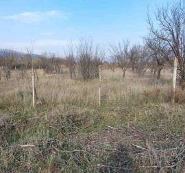 Land For Sale, Natakhari