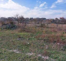 Land For Sale, Natakhari