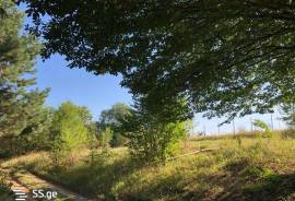 Land For Sale, Kojori