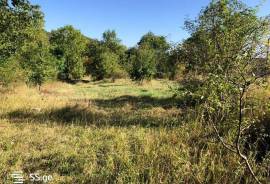 Land For Sale, Kojori