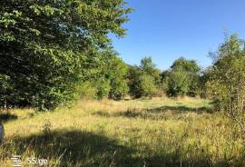 Land For Sale, Kojori