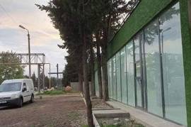 ქირავდება, უნივერსალური კომერციული ფართი, თოხლიაური