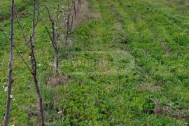 Land For Sale, Agricultural, Vartsikhe