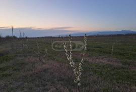 Land For Sale, Agricultural, Vartsikhe