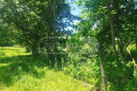 Land For Sale, Tianeti