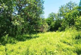 Land For Sale, Tianeti