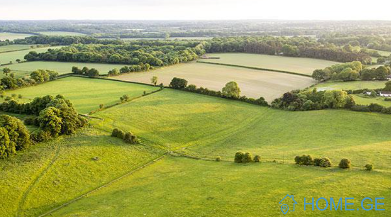 Land For Sale, Sadgeri