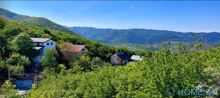 იყიდება მიწის ნაკვეთი, სასოფლო - სამეურნეო
