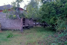 იყიდება სახლი, 3 ოთახიანი, ზესტაფონი, ცხრაწყარო