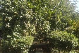იყიდება სახლი, 12 ოთახიანი, გურჯაანი, ბაკურციხე