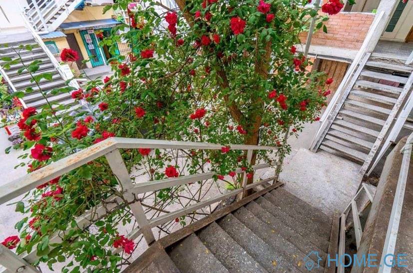 For Rent, Old building, Newly Renovated, Mtatsminda