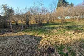 Land For Sale, Zugdidi