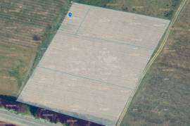 Продается Земля, Telavi