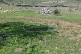 Land For Sale, Martkopi