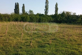 Продается Дом, 4 Kомнатная, Сенаки, Сенаки