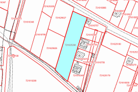 Land For Sale, Lisi