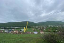 Land For Sale, Lisi