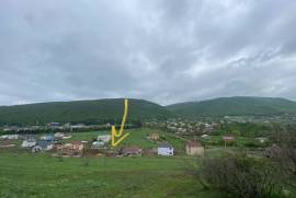 იყიდება მიწის ნაკვეთი, სასოფლო - სამეურნეო, ლისი