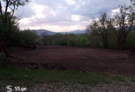 იყიდება მიწის ნაკვეთი, სპეციალური