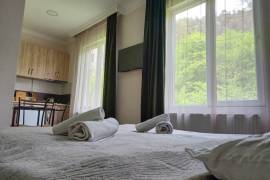 Аренда Посуточно, 3 Kомнатная, Боржомский район, Борджоми