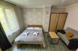 Аренда Посуточно, 3 Kомнатная, Боржомский район, Борджоми