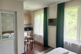 Аренда Посуточно, 3 Kомнатная, Боржомский район, Борджоми