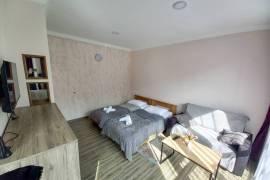 Аренда Посуточно, 3 Kомнатная, Боржомский район, Борджоми