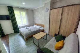 Аренда Посуточно, 3 Kомнатная, Боржомский район, Борджоми