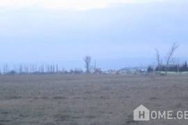 Land For Sale, Vaziani 