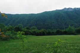 Land For Sale, Satsiskvilo