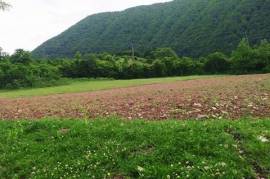 Land For Sale, Satsiskvilo