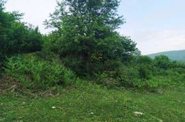 Land For Sale, Satsiskvilo